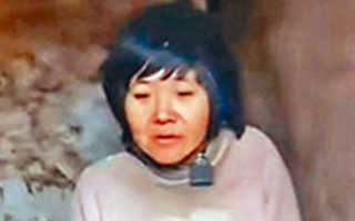 铁链女事件调查四天完成 江苏调查组遭投诉