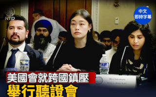 【直播】美国会就跨国镇压举行听证会
