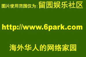 6parkbbs.com 用权势逼迫男秘书出卖身体
