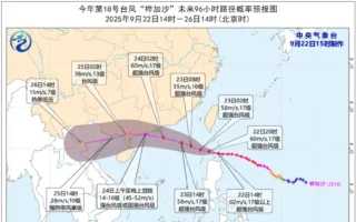 超强台风“桦加沙”临近广东 多地“五停”