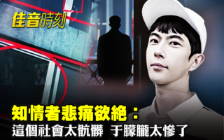 杨宁：于朦胧案刺醒了多少人？
