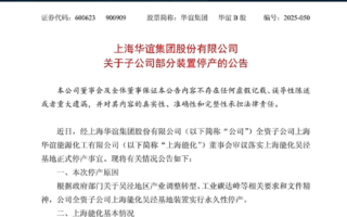 上海华谊集团子公司永久性停产 年亏1.2亿