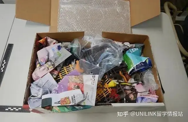 无耻下作！中国留学生，让华人丢尽了脸