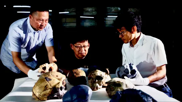 三名中国科学家围坐在一张桌子旁，桌上摆放着多个头骨。其中两名科学家手里拿着头骨复制品。