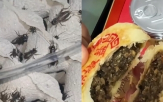 山东推出“蟋蟀月饼”怪异口味引质疑