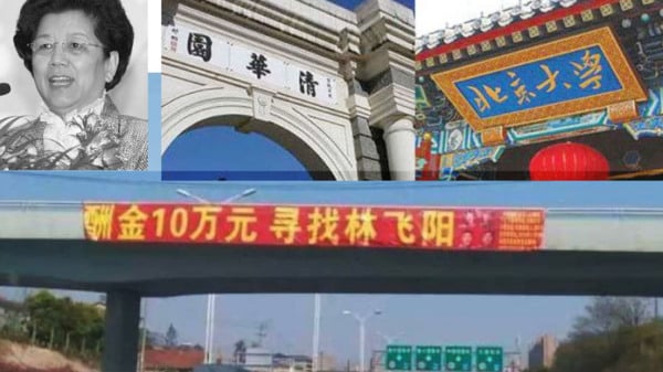 江泽民情妇陈至立是教育界毁灭中华文化的罪魁