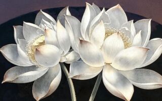 奇异救赎——这世上另一个我